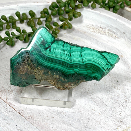 Malachite Slice CR3427 - Nature's Magick