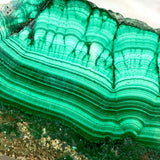 Malachite Slice CR3427 - Nature's Magick