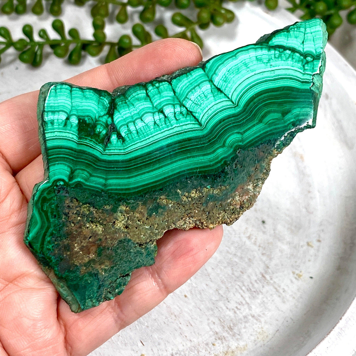 Malachite Slice CR3427 - Nature's Magick