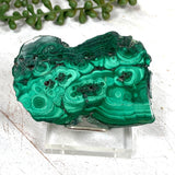 Malachite Slice CR3430 - Nature's Magick