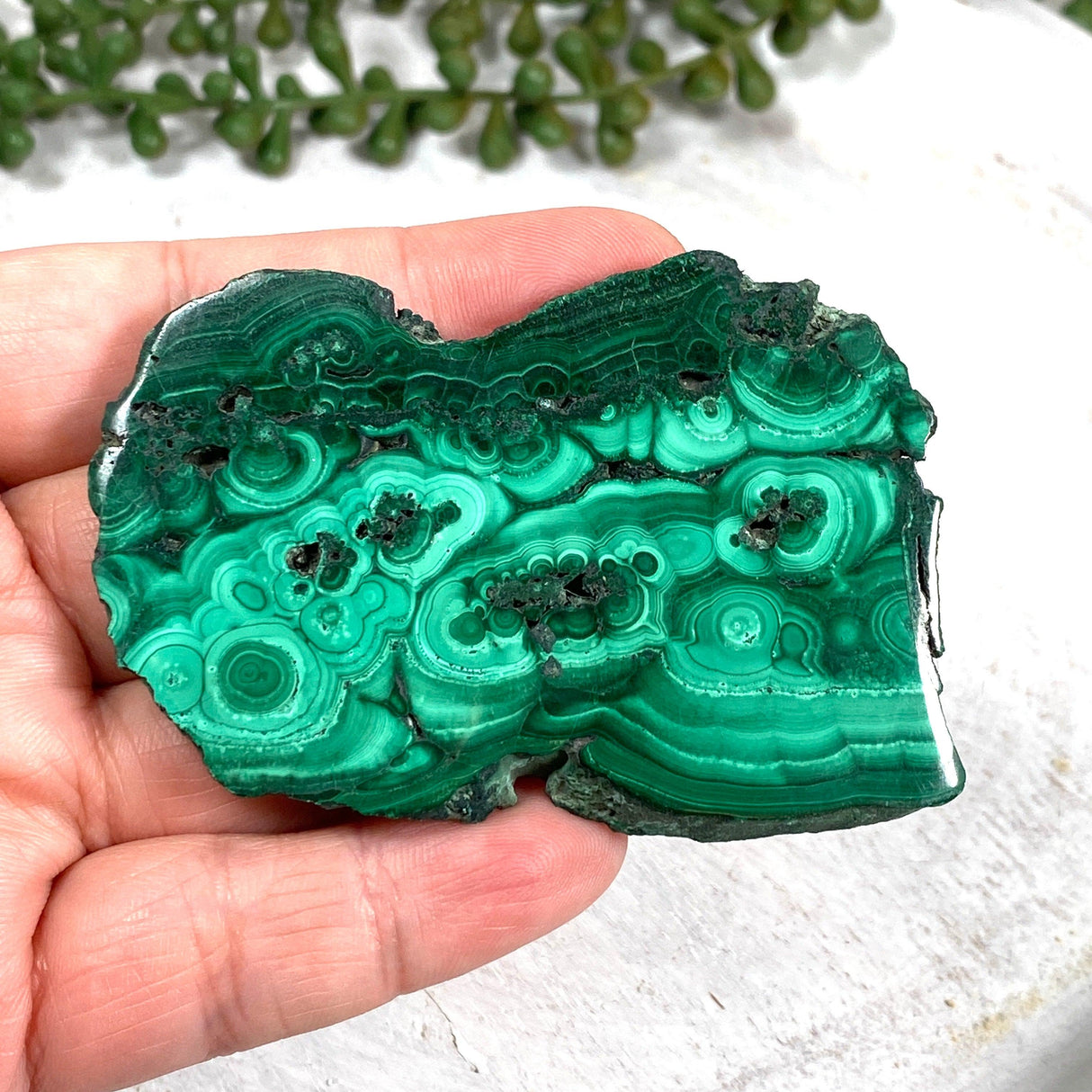 Malachite Slice CR3430 - Nature's Magick