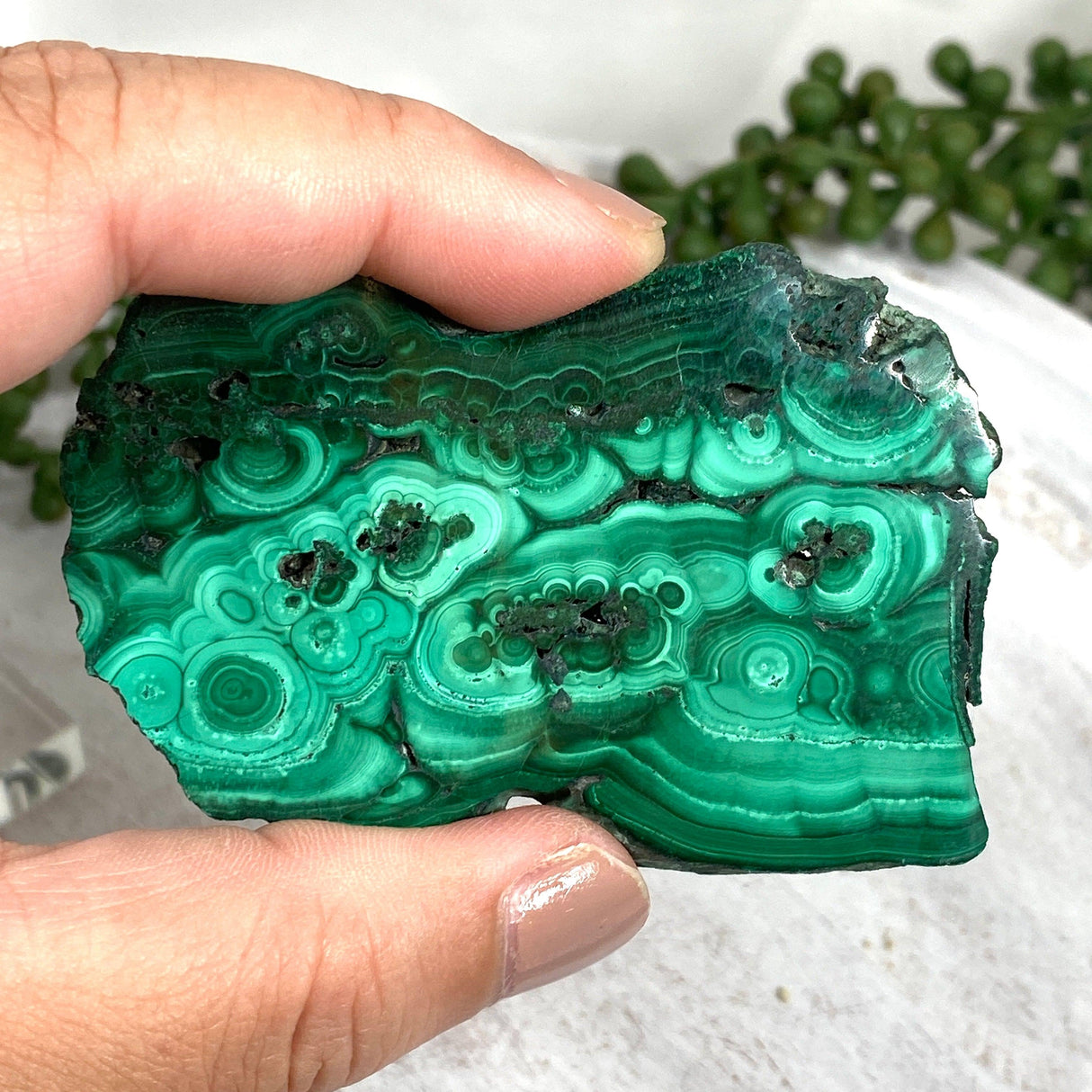 Malachite Slice CR3430 - Nature's Magick