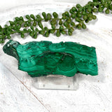 Malachite Slice CR3431 - Nature's Magick