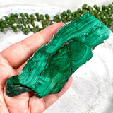 Malachite Slice CR3431 - Nature's Magick