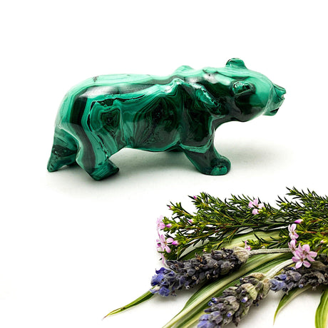 Malachite Tiger Carving MCH-CAR-08 - Nature's Magick