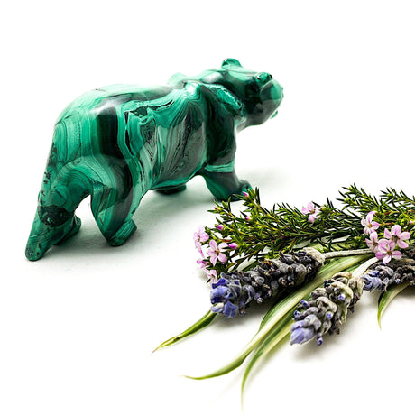 Malachite Tiger Carving MCH-CAR-08 - Nature's Magick