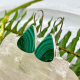 Malachite triangular fixed hook earrings KEGJ968 - Nature's Magick