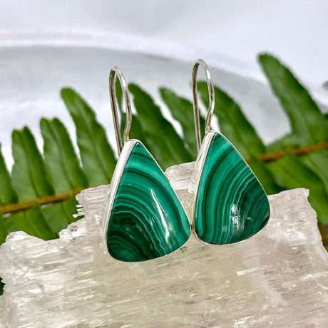 Malachite triangular fixed hook earrings KEGJ968 - Nature's Magick