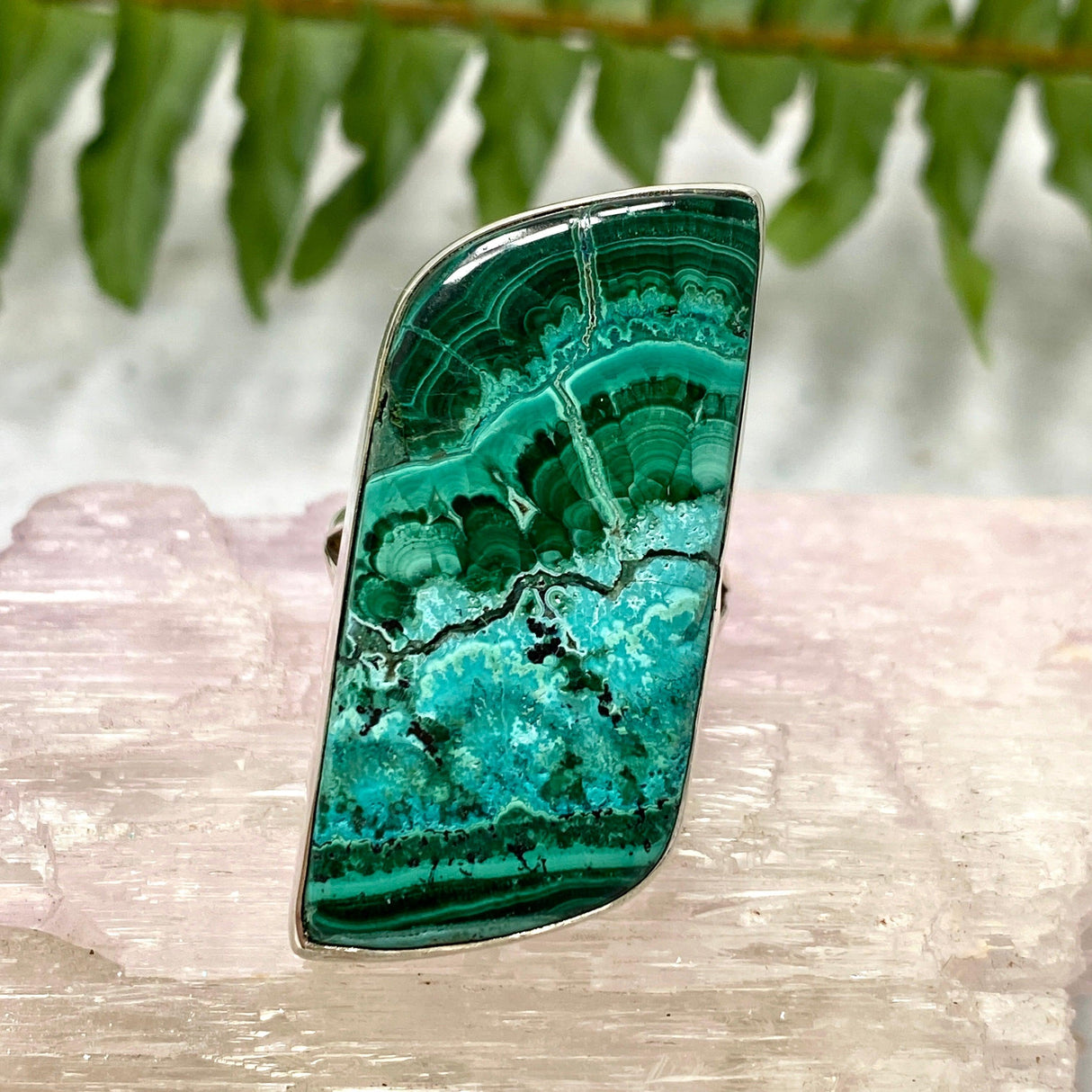 Malacholla freeform cabochon ring s.11 KRGJ486 - Nature's Magick