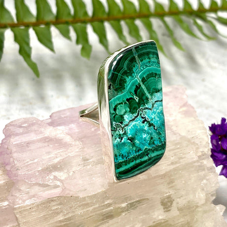 Malacholla freeform cabochon ring s.11 KRGJ486 - Nature's Magick