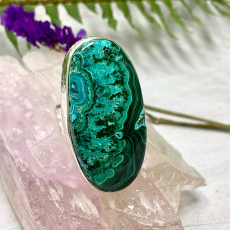 Malacholla oval cabochon ring s.10 KRGJ486 - Nature's Magick