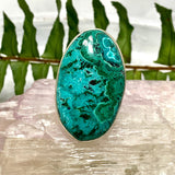 Malacholla oval cabochon ring s.10 KRGJ487 - Nature's Magick