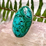 Malacholla oval cabochon ring s.10 KRGJ487 - Nature's Magick