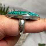 Malacholla oval cabochon ring s.10 KRGJ487 - Nature's Magick