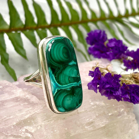 Malacholla rectangular cabochon ring with split band s.8 KRGJ1702 - Nature's Magick