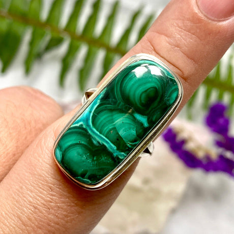 Malacholla rectangular cabochon ring with split band s.8 KRGJ1702 - Nature's Magick