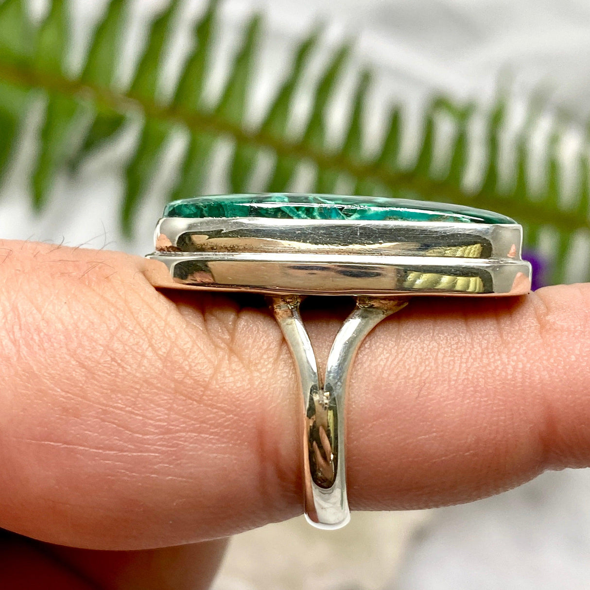 Malacholla rectangular cabochon ring with split band s.8 KRGJ1702 - Nature's Magick