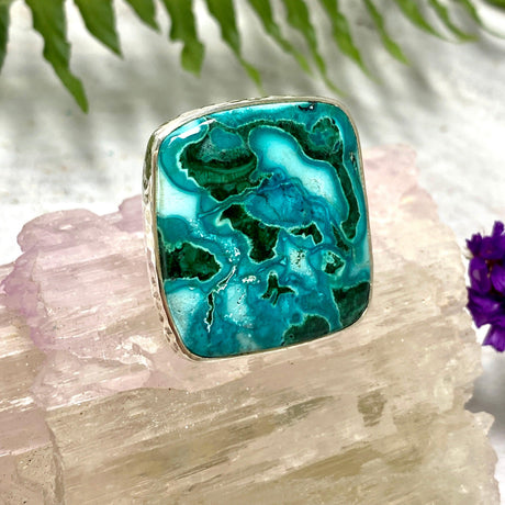 Malacholla square cabochon ring s.11 KRGJ946 - Nature's Magick