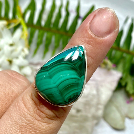 Malacholla teardrop cabochon ring with beaten band s.7 KRGJ1701 - Nature's Magick