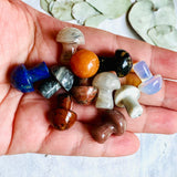 Mini Mushrooms - Assorted Gemstones - Nature's Magick
