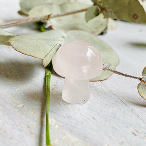 Mini Mushrooms - Assorted Gemstones - Nature's Magick