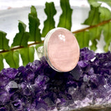 Morganite oval ring s.8 KRGJ2660 - Nature's Magick