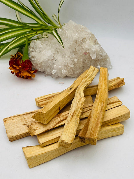 Palo Santo - Natural Wood Incense - Nature's Magick