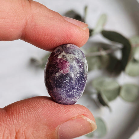 Pegmatite "Unicorn Stone" (Pink Tourmaline, Lepidolite, Smokey Quartz) tumbled stone TS-PEG - Nature's Magick