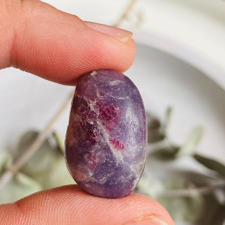 Pegmatite "Unicorn Stone" (Pink Tourmaline, Lepidolite, Smokey Quartz) tumbled stone TS-PEG - Nature's Magick