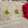 Peridot round faceted stud earrings KEGJ922 - Nature's Magick