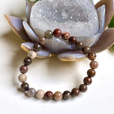 Petrified Wood bracelet - Nature's Magick