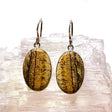 Picture Jasper oval cabochon earrings KEGJ188 - Nature's Magick