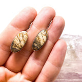 Picture Jasper oval cabochon earrings KEGJ531 - Nature's Magick