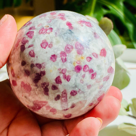 Pink Tourmaline in Quartz sphere PTQS-01 - Nature's Magick