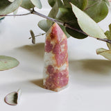Pink Tourmaline mini points c1450 - Nature's Magick