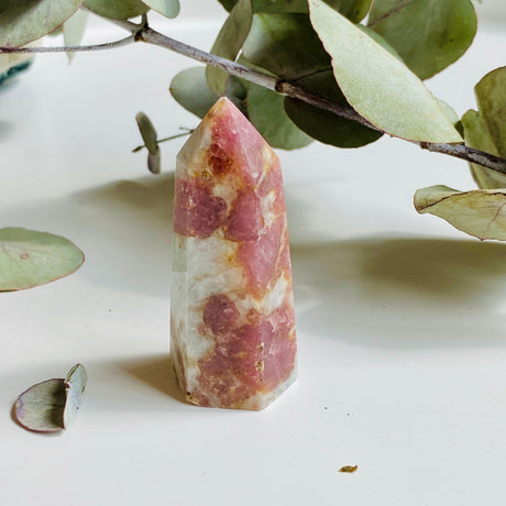 Pink Tourmaline mini points c1450 - Nature's Magick