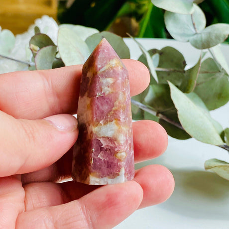 Pink Tourmaline mini points c1450 - Nature's Magick