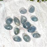 Polished Celestite Tumble Stones - Nature's Magick