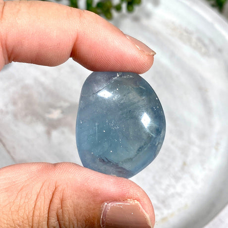 Polished Celestite Tumble Stones - Nature's Magick