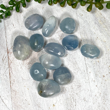 Polished Celestite Tumble Stones - Nature's Magick