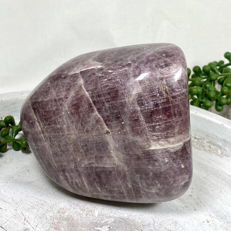 Purple Anhydrite (Angelite) freeform CR3487 - Nature's Magick