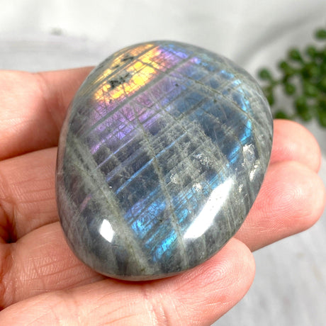 Purple labradorite palmstone PLBP - Nature's Magick