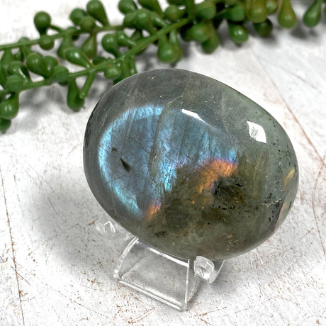 Purple labradorite palmstone PLBP - Nature's Magick