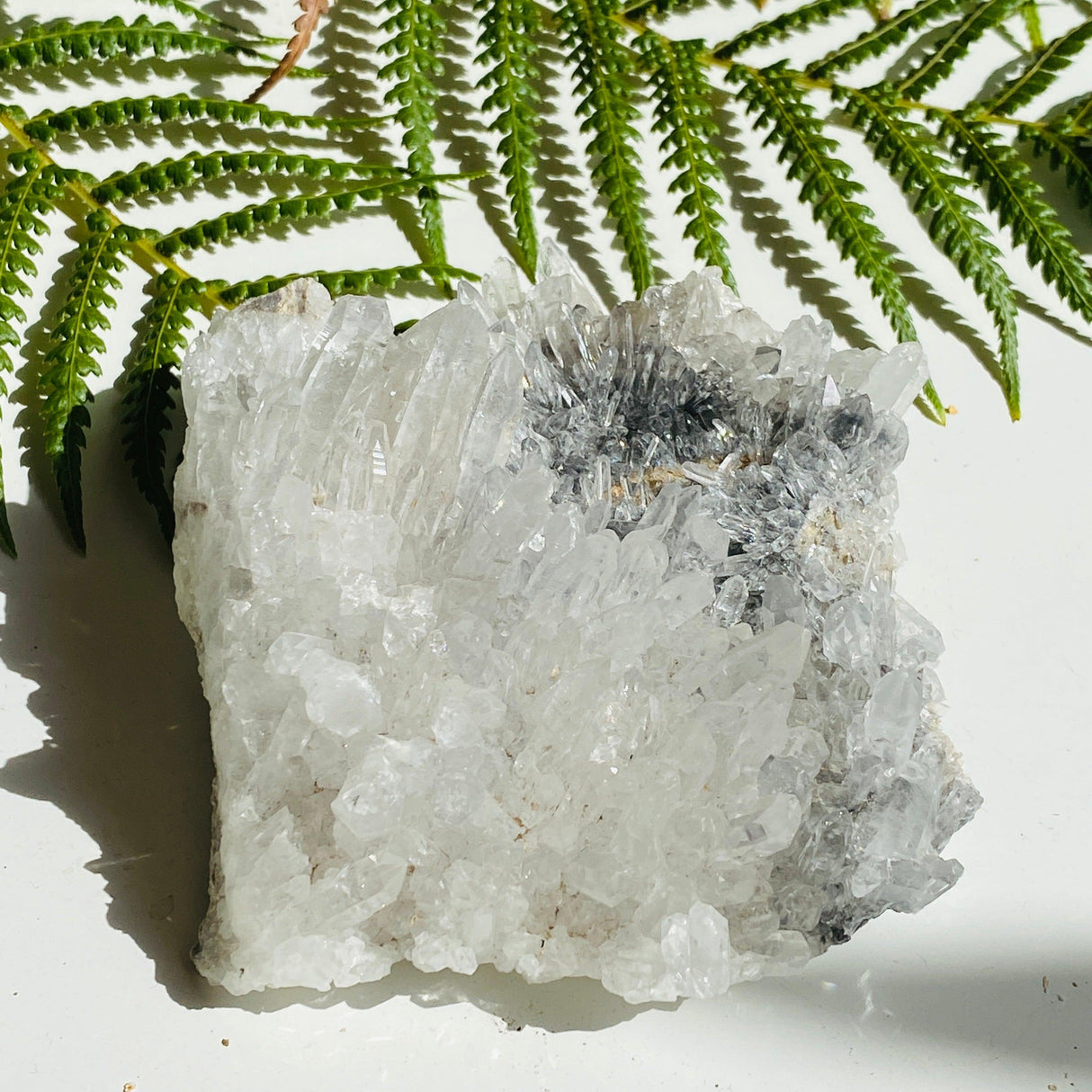 Quartz cluster QSPM-02 - Nature's Magick