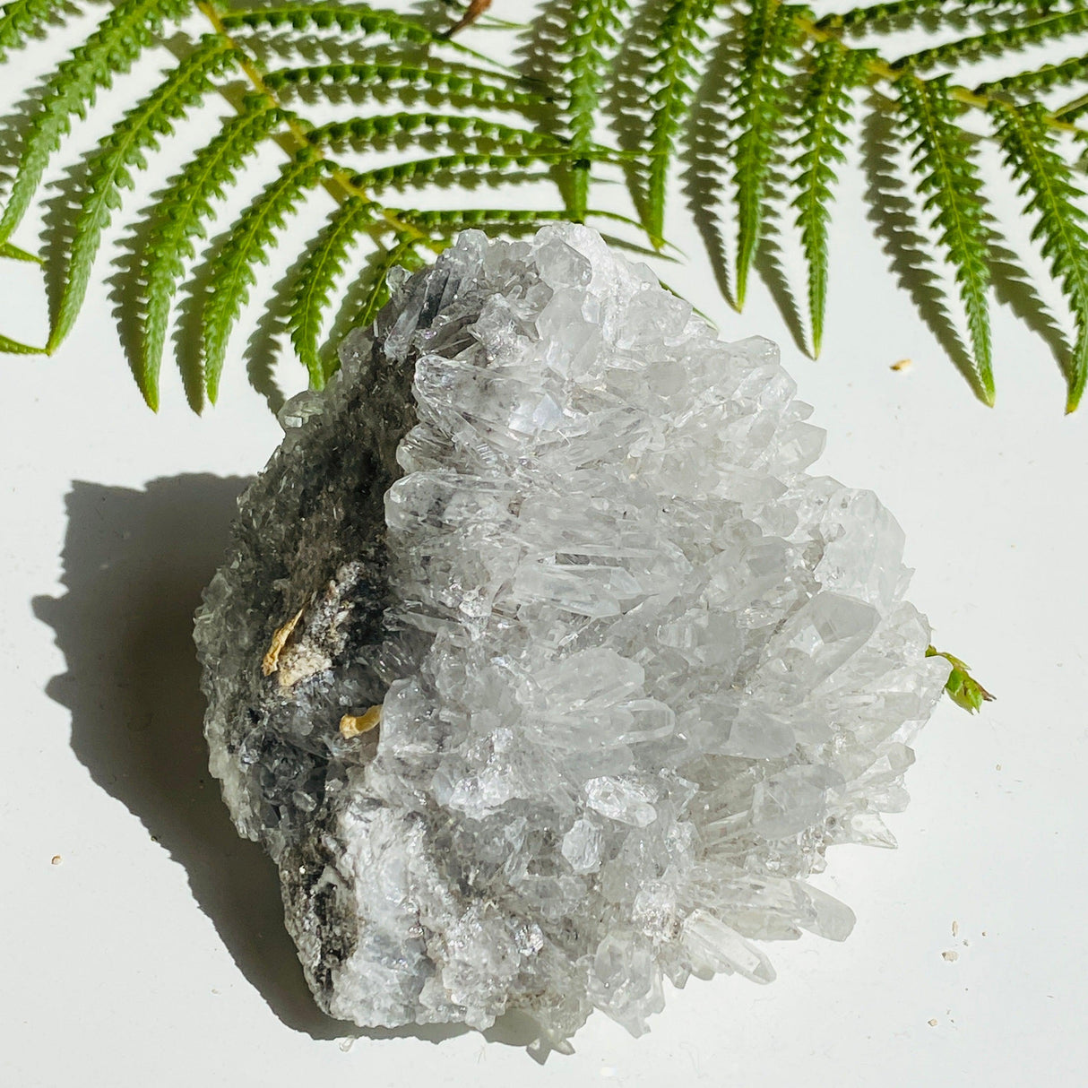Quartz crystal cluster specimen QSPM-12 - Nature's Magick