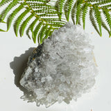 Quartz crystal cluster specimen QSPM-12 - Nature's Magick