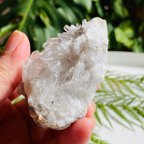 Quartz crystal cluster specimen QSPM-14 - Nature's Magick