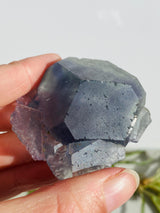 Rainbow Fluorite cluster FLU-05 - Nature's Magick