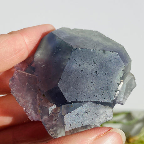 Rainbow Fluorite cluster FLU-05 - Nature's Magick