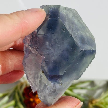 Rainbow Fluorite cluster FLU-05 - Nature's Magick